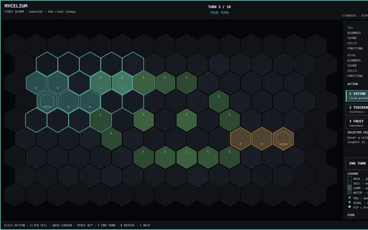 A dark board part-way through a match, one colony spreading outward in pale filaments with a rival colony advancing from the opposite corner.